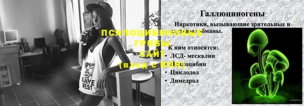 стафф Алзамай
