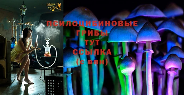 мдпв Алексин
