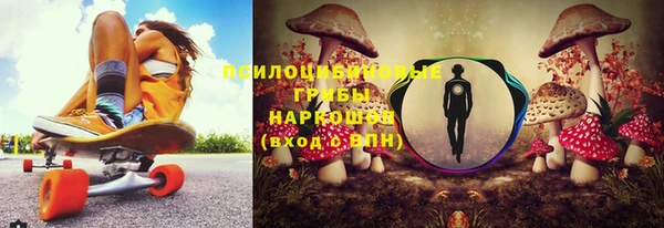 стафф Алзамай