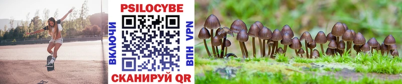 Псилоцибиновые грибы Psilocybe  наркота  кракен зеркало  дарк нет как зайти  Осинники 